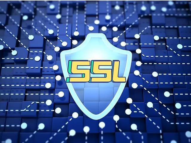 Linux SSL VPN服务器如何快速搭建?-图3 Linux SSL VPN服务器如何快速搭建?-图3