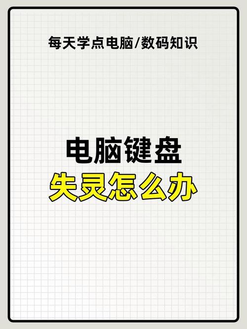 笔记本电脑键盘失灵了怎么办-图1
