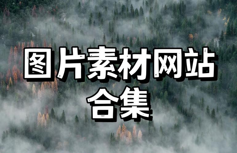 网站flash素材下载哪里找？-图2