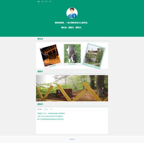 个人网站模板flash还值得用吗？-图1