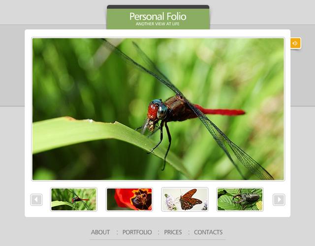 Flash网站源码模板哪里下载？-图3
