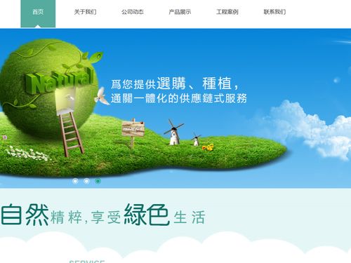 企业网站生成HTML，模板还是代码更高效？-图2