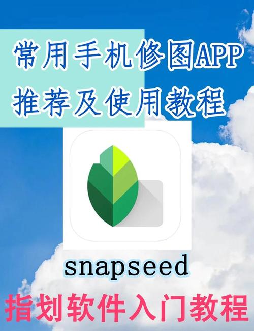 snapseed电脑版下载-图1