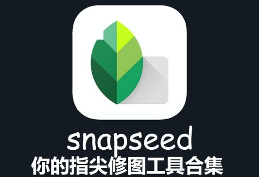 snapseed电脑版下载-图2