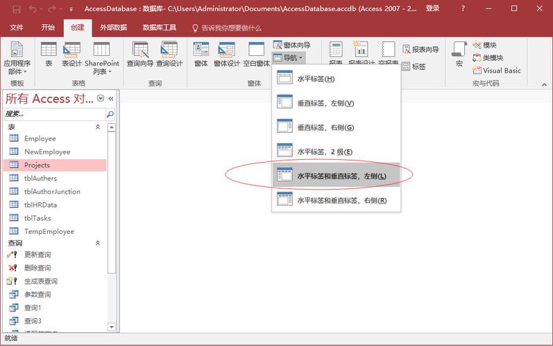 access网站源码哪里获取？-图3