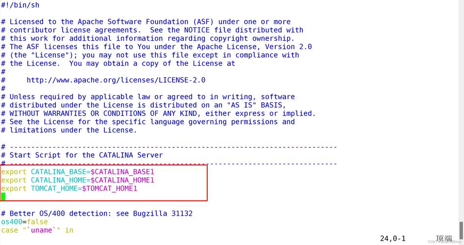 linux服务器tomcat配置-图1