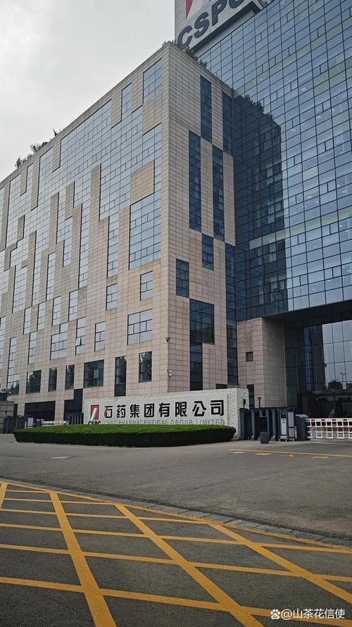 石家庄手机网站建设公司-图1 石家庄手机网站建设公司-图1