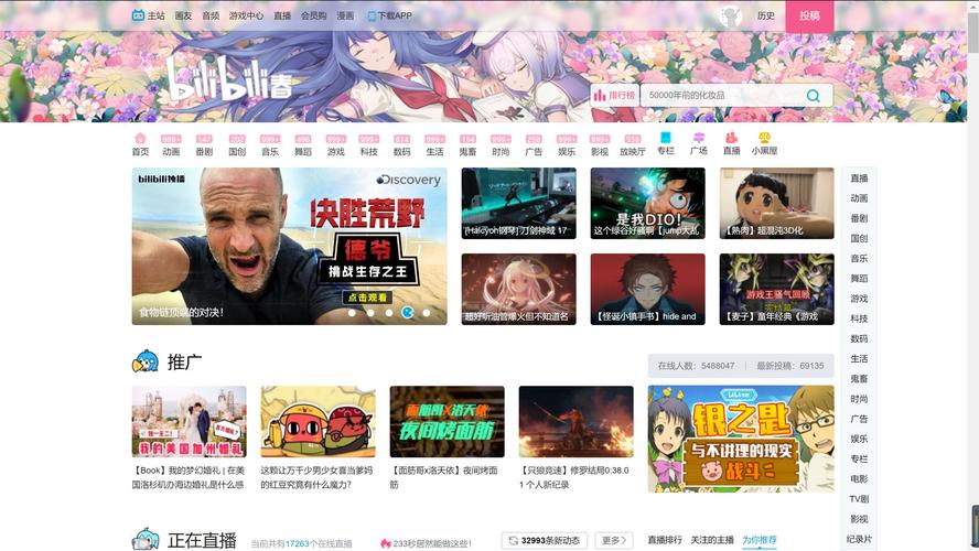 bilibili电脑网页版在哪下载？-图2