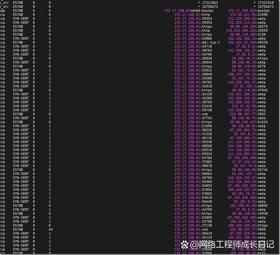wampserver服务器离线怎么办?-图2 wampserver服务器离线怎么办?-图2