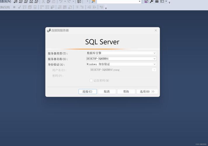 sql server 服务器角色-图1
