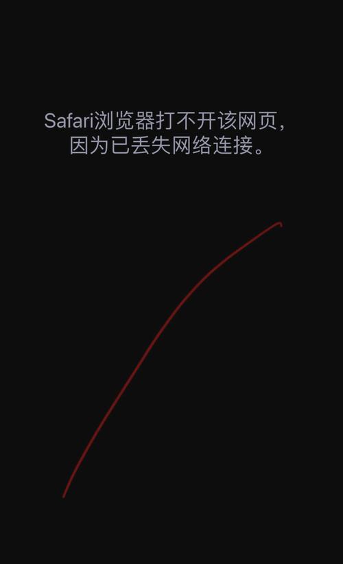 苹果电脑Safari为何突然无法打开？-图2