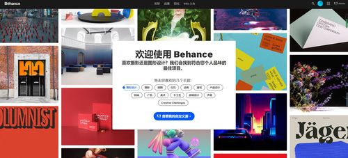 设计网站behance-图1