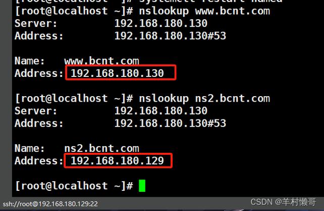 Ubuntu如何配置DNS服务器？-图2