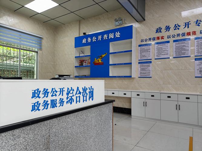 政府门户网站网站建设-图3