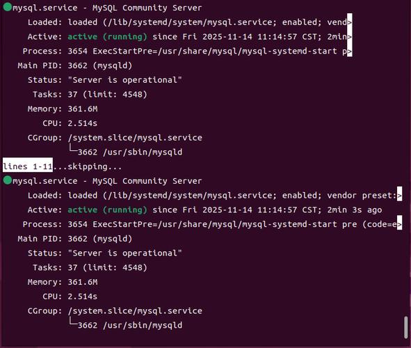 Linux服务器如何正确部署MySQL？-图2