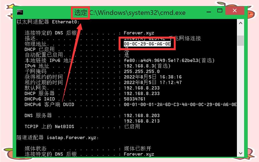 服务器与客户端IP地址有何关联？-图2