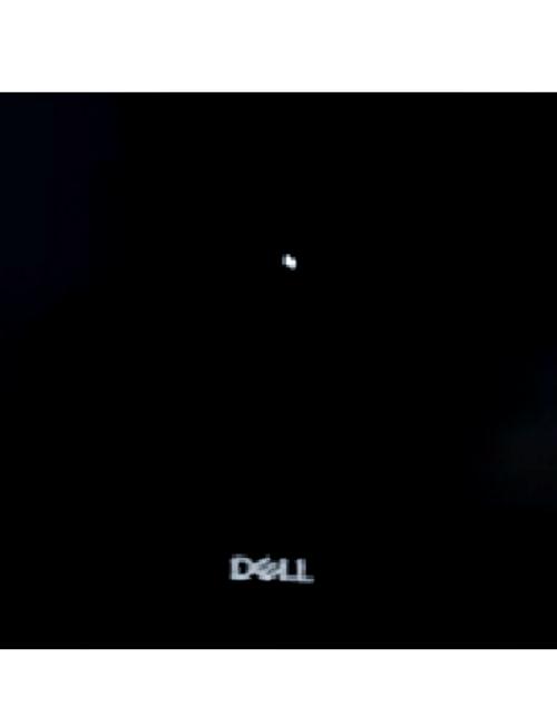 电脑开机黑屏，鼠标能动咋办？-图1