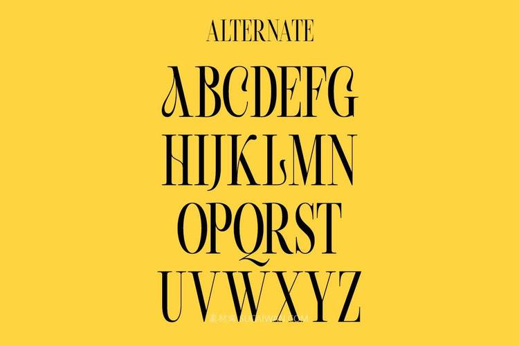 英文网站设计常用字体有哪些？-图1