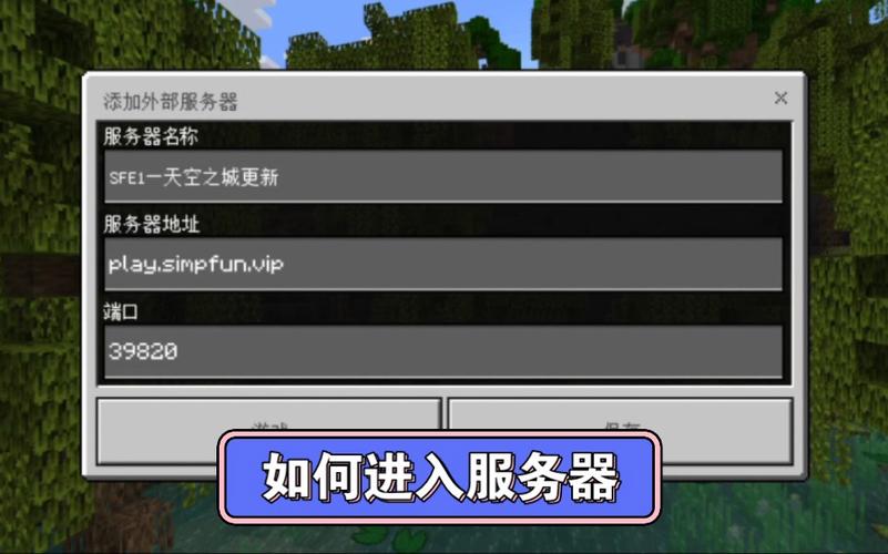 Minecraft服务器到底是什么？-图3