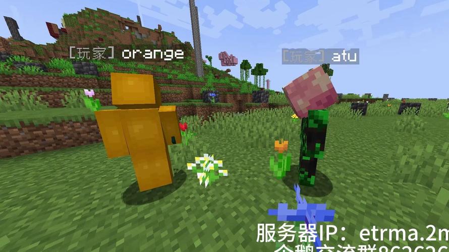 Minecraft服务器生存怎么玩得有趣？-图1