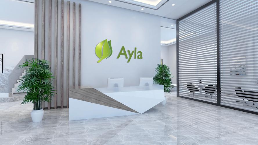 深圳做网站的网络公司哪家好？-图3