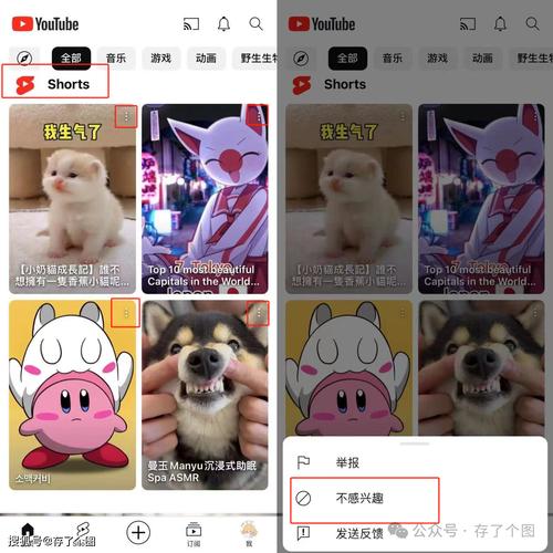 电脑怎么看youtube-图3