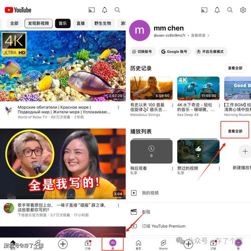 电脑怎么看youtube-图1