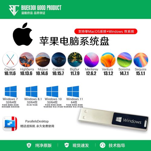 苹果电脑如何用U盘重装系统？-图2