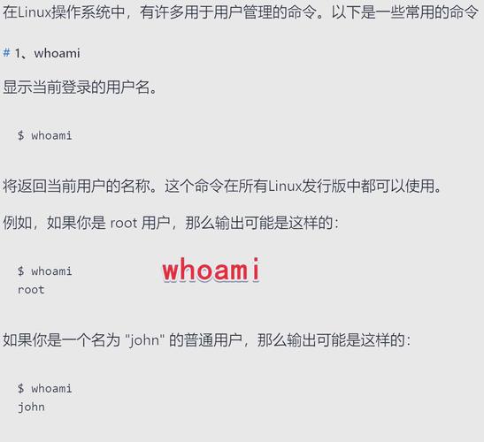 linux服务器管理常用命令-图3