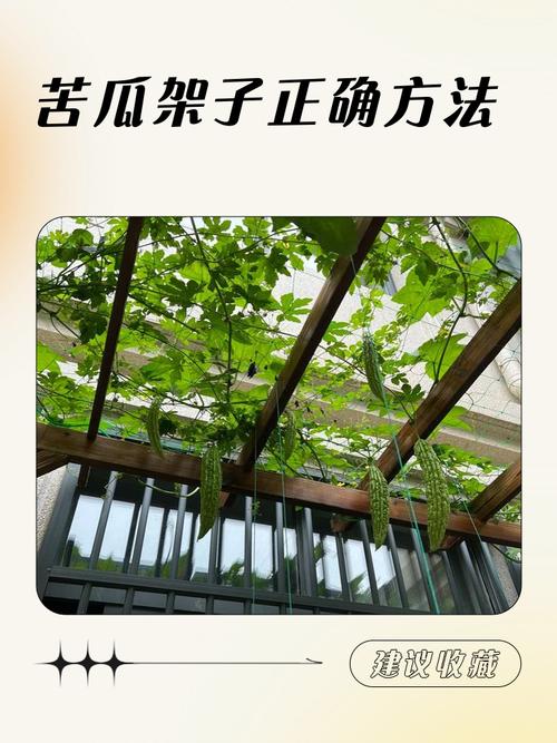 昆山网站建设苦瓜网络，哪家靠谱？-图1