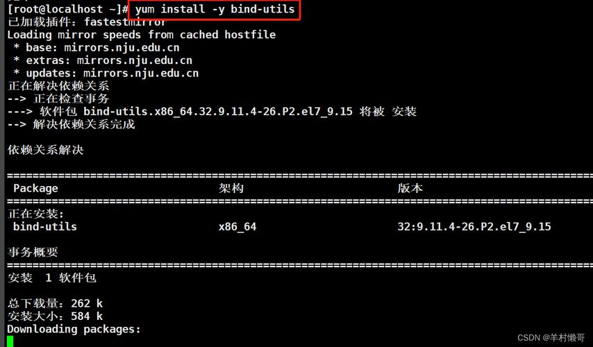 RedHat如何配置DNS服务器？-图2