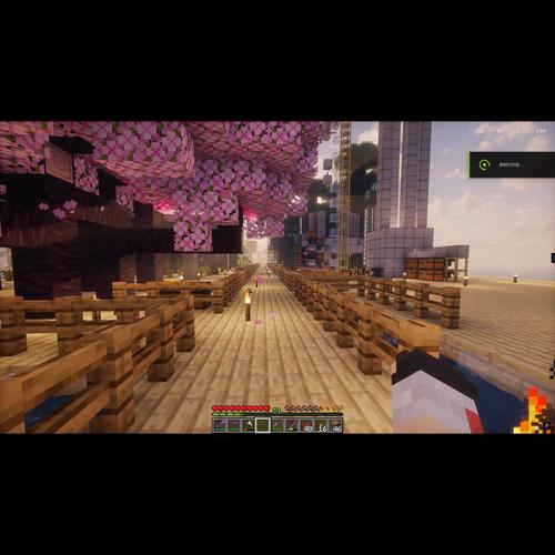 Minecraft服务器怎么建？新手必看步骤？-图2