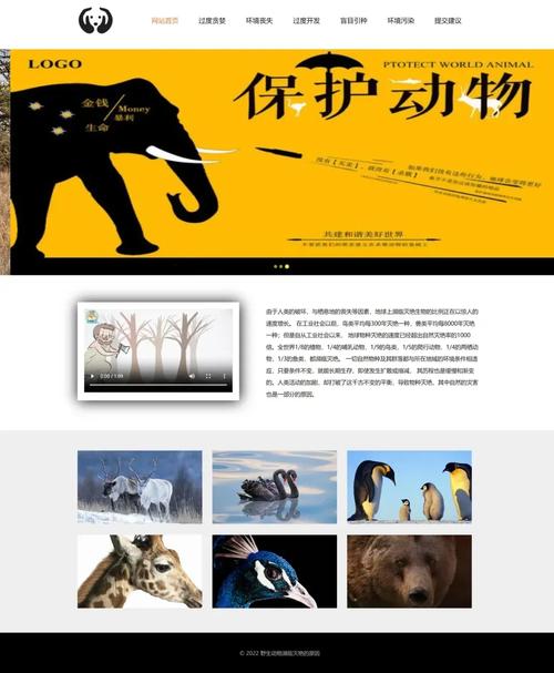 网站设计模板html-图2