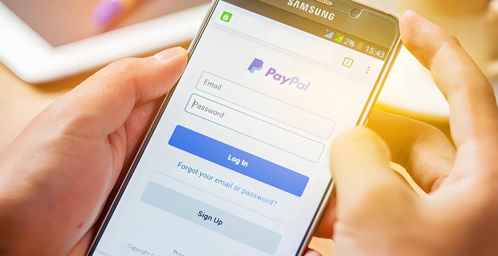 PayPal网站接口怎么用？-图1
