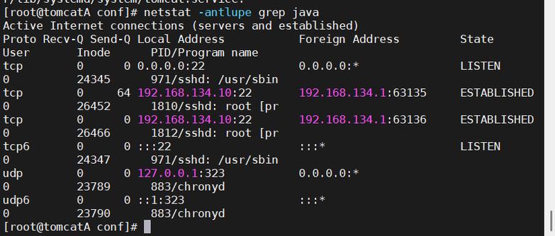 Tomcat文件下载服务器如何配置与优化？-图2
