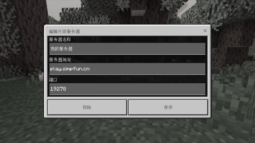 minecraft进入服务器-图2