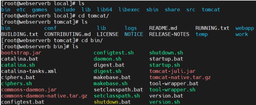 如何搭建Web服务器Tomcat？-图1