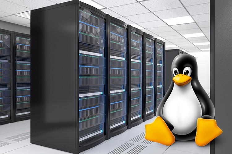 Linux搭建Web服务器有哪些关键步骤？-图1