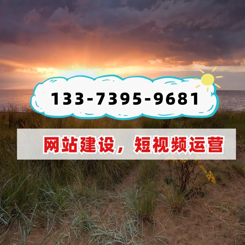 南阳网站排名优化公司-图3