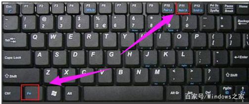 键盘为何突然失灵无法打字？-图3