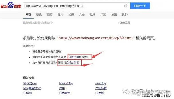 如何快速提升网站收录量？-图1