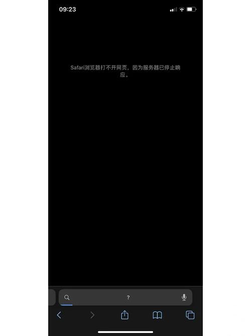 Safari为何总提示无法连接服务器?-图2 Safari为何总提示无法连接服务器?-图2