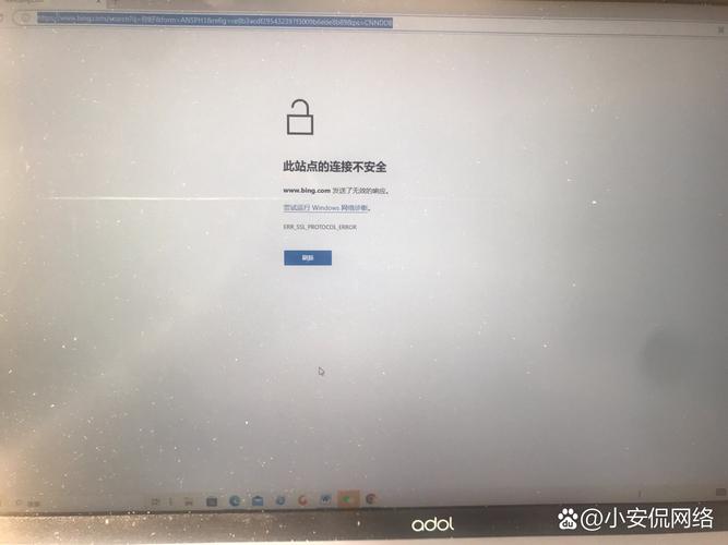 Safari为何总提示无法连接服务器？-图3