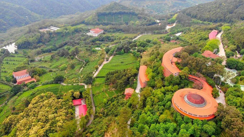 梅州网站建设哪家好？-图2