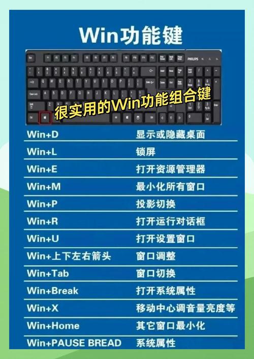 笔记本电脑键盘怎么锁定-图1 笔记本电脑键盘怎么锁定-图1