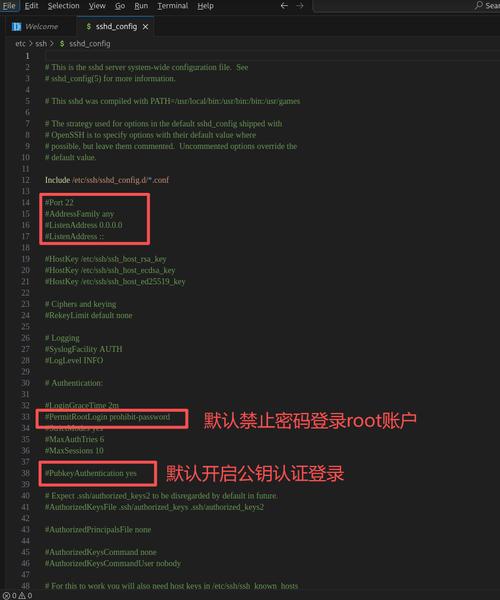 SSH如何登录Linux服务器？-图3