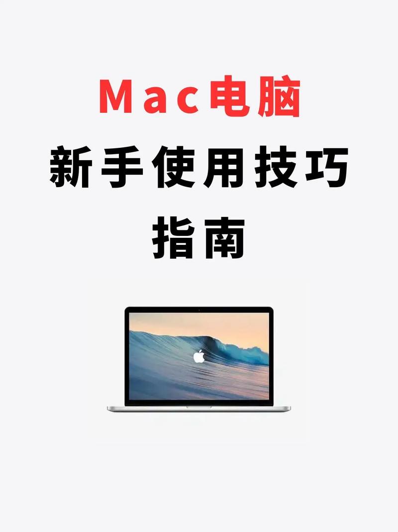 苹果电脑怎么下载LOL-图2