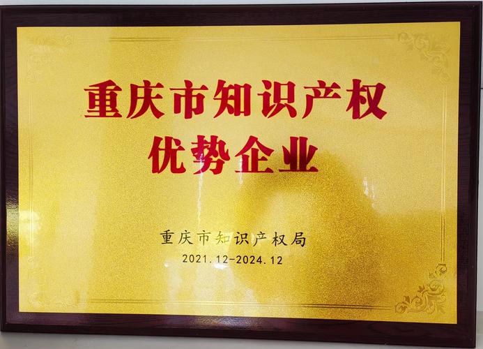 重庆做网站推广的公司哪家靠谱？-图2