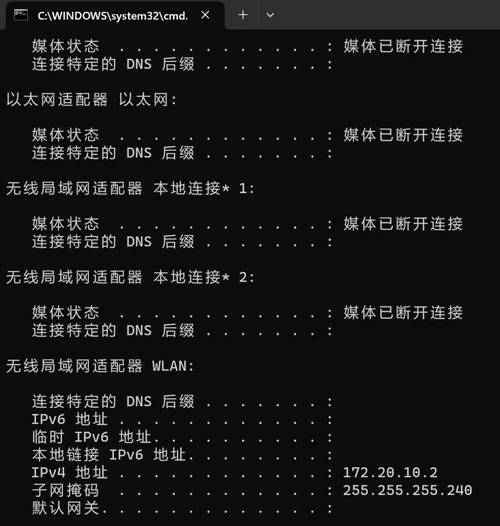 如何查看电脑的IP地址？-图2