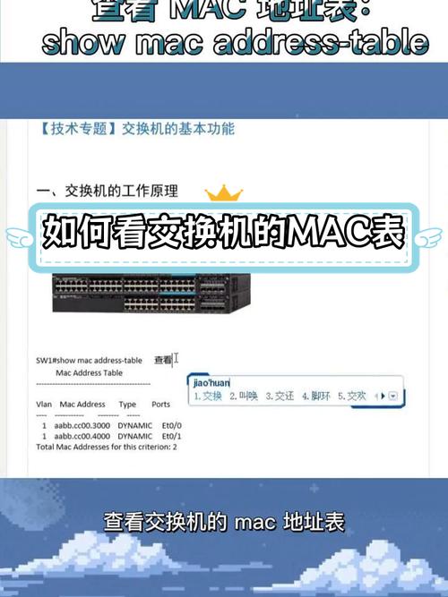 如何快速查看电脑的MAC地址?-图3 如何快速查看电脑的MAC地址?-图3